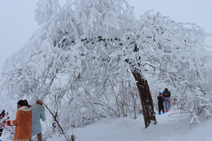 actividad en la nieve del Centro de Esquí de la Montaña Nevada de Xiling