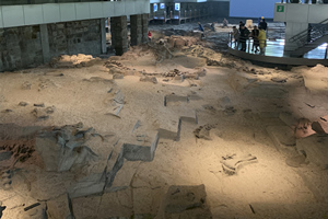  área de excavación abierta del Museo de Dinosaurios de Zigong