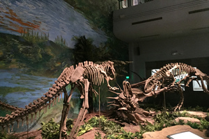 Museo de Dinosaurios de Zigong