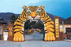 Puerta del Parque del Tigre Siberiano