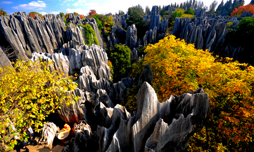 17 días Viajes del Patrimonio Mundial de China Bosque de Piedra