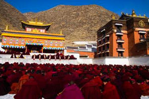 monjes meditando en el Monasterio de Labrang