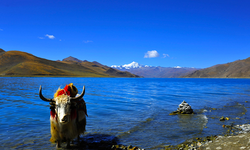 6 días Viajes al Tíbet Lago Yamdrok