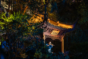 Actuación Nocturna en el Jardín Zhanyuan