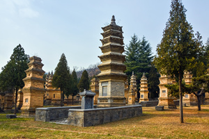 Talin del Templo de Shaolin