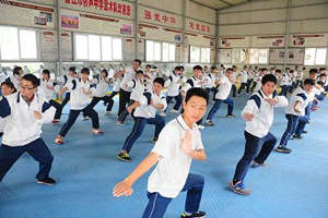 Movimientos del boxeo Changquan
