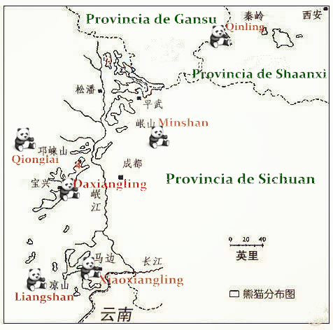 El mapa de distribución de panda en China