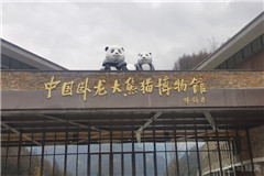 El museo de panda en Wolong