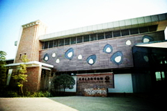 Museo de panda gigante