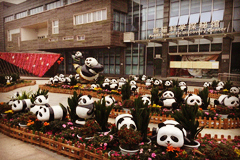 Sala de Ciencia y Exploración de Panda Gigante