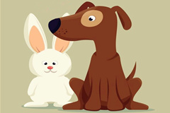 perro y conejo.jpg