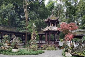 Potted Landscape Garden， Chengdu People's Park