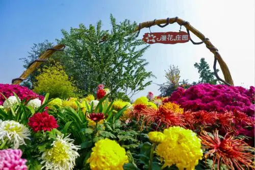 Flower Fair Festival, Qingyang Palace