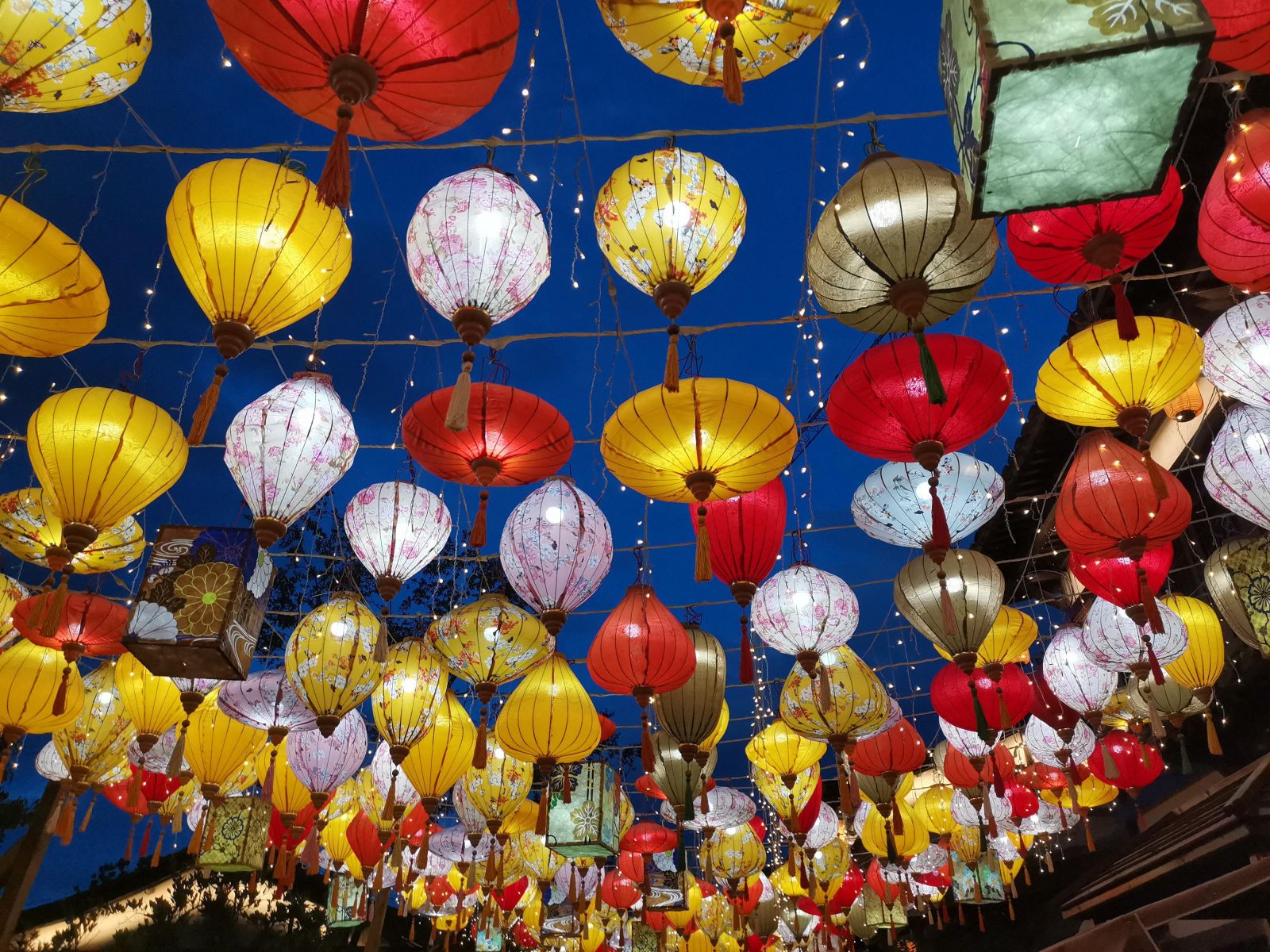 Exquisite Lanterns，Chinese Lanterns