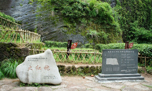 Dahongpao Scenic Area