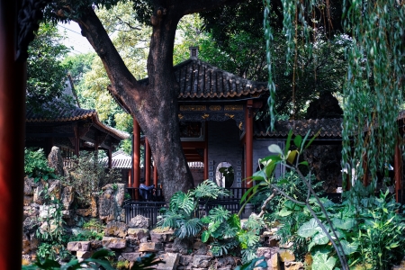 Summer View，Qinghui Garden