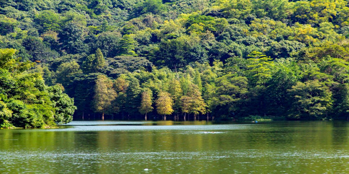 Fairy Lake,Baiyun Mountain