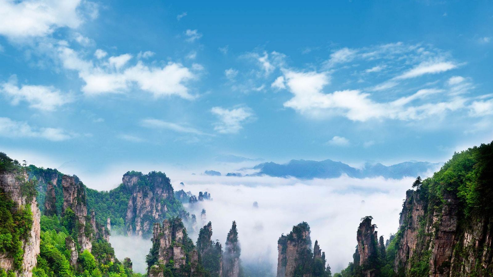 The Beautiful Scenery，Tianzi Mountain