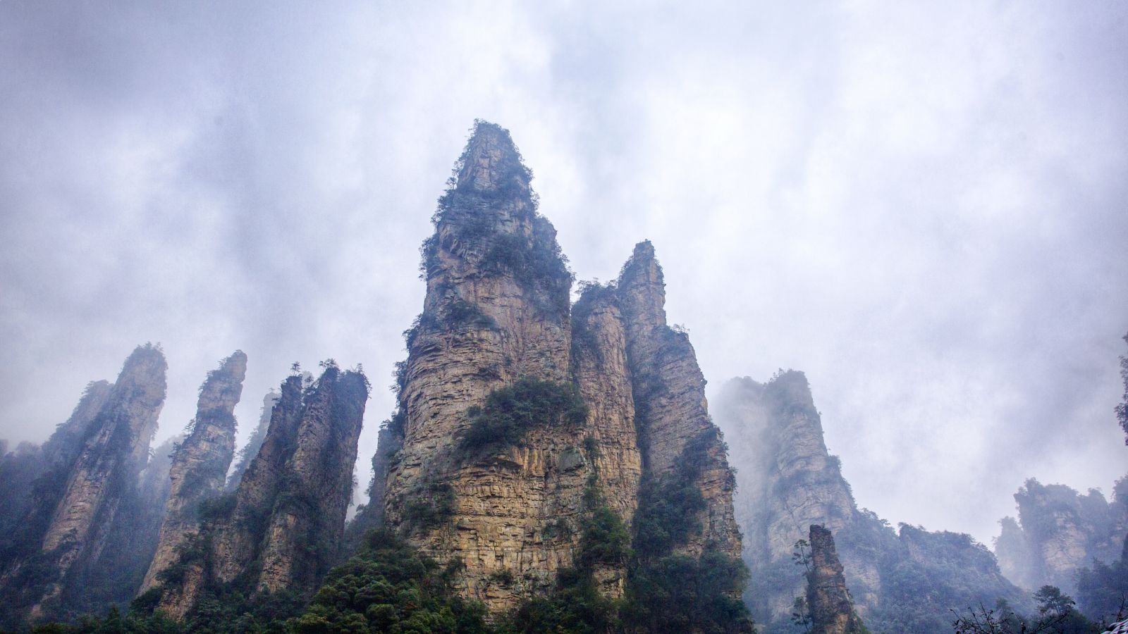 Rock Scenery of Yuanjiajie,Yuanjiajie