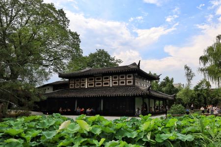 Summer Scenery,The Humble Administrator's Garden