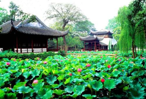 Millet Fragrance Hall,The Humble Administrator's Garden
