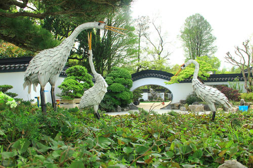 Bonsai Garden,Shanghai Botanical Garden
