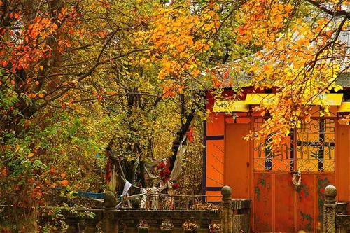 Autumnal Scenery,Norbulingka
