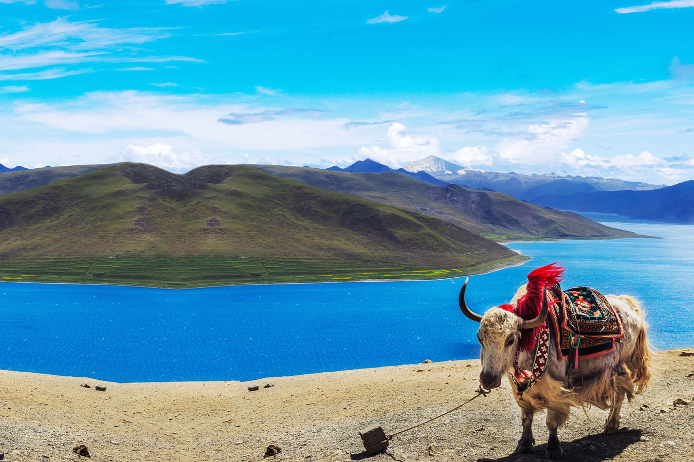 ★ Avventure del Viaggio in Tibet