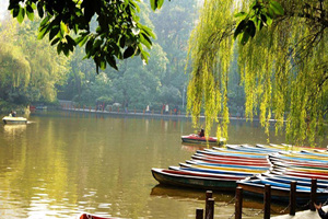 Lago artificiale nel Parco del Popolo di Chengdu