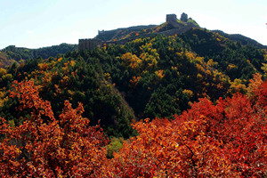 La Grande Muraglia in autunno