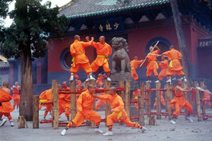 Addestramento dei monaci