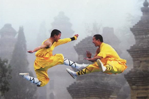 Movimenti del kung fu Shaolin