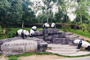 Base dei panda di Dujiangyan