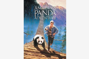 La meravigliosa avventura dei panda