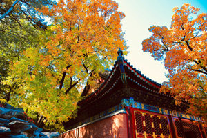 Parco Xiangshan in autunno