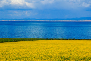 Primavera del Lago Qinghai