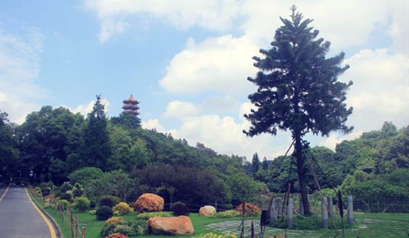 Panorama del Giardino Botanico di Xianhu.jpg