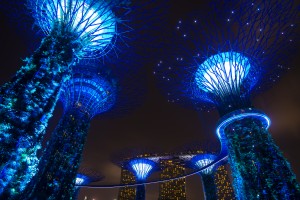 Super Alberi di Singapore