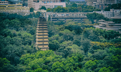 Piccola Pagoda dell’Oca Selvatica