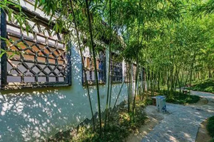 Bambù del Giardino Geyuan