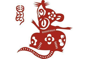 Zodiaco cinese topo