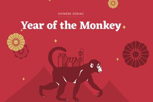 Nono animale dello zodiaco cinese: scimmia