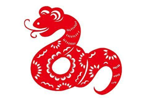 Serpente nello Zodiaco Cinese