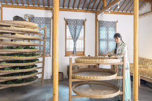 la escena de la vida textil, el Museo de Seda de Suzhou