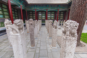 Pilastri di pietra del Museo di Beilin