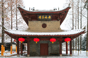 Palazzo della Pagoda della Piccola Oca Selvatica