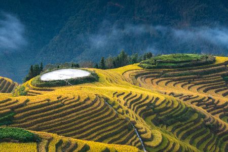 Hong Kong and Guilin Tour with Rice Terrace
