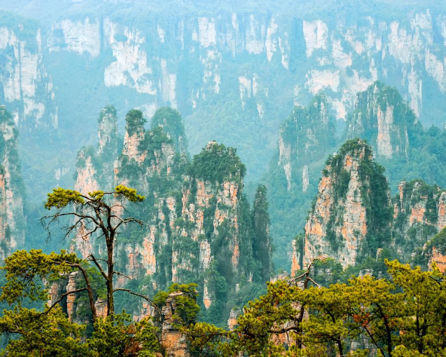 11 Days China Magical Tour with Avatar Mountain